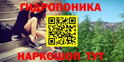 МДПВ Обнинск