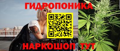МДПВ Обнинск